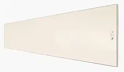 pion