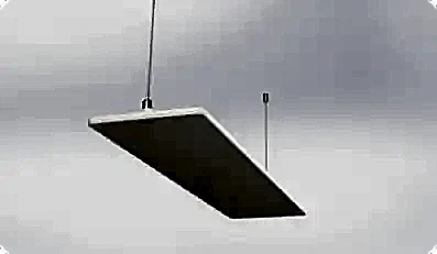 pion
