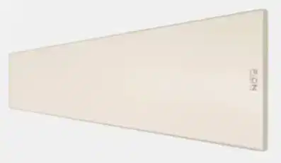 pion